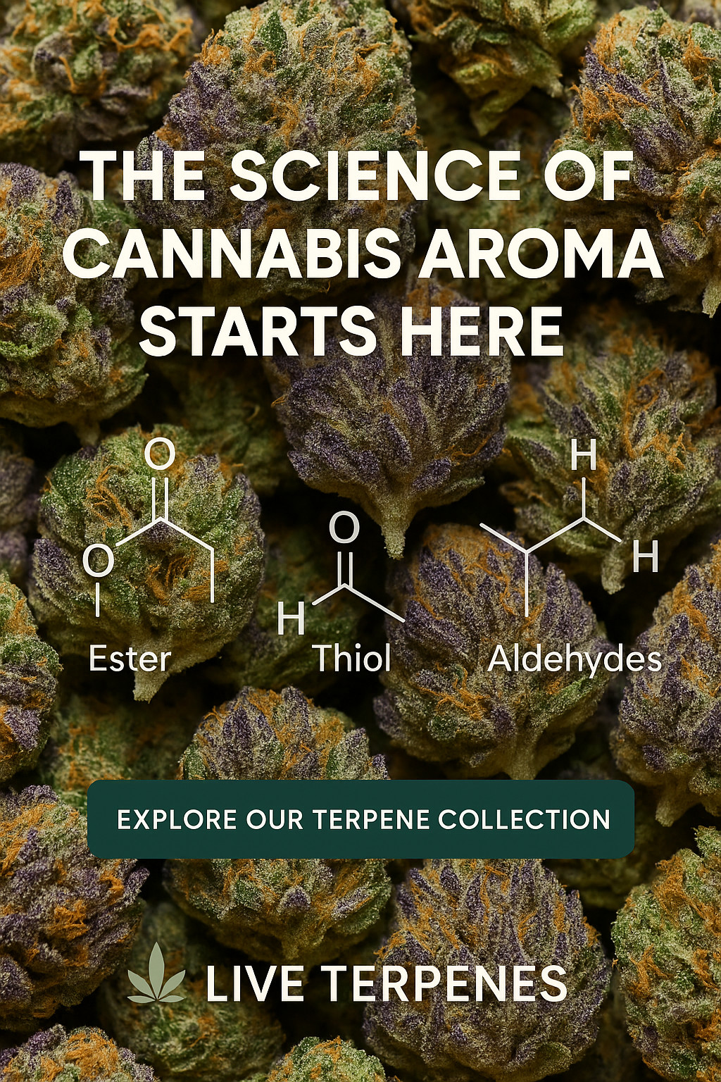 ChatGPT-Image-May-16-2025-at-08_55_48-AM