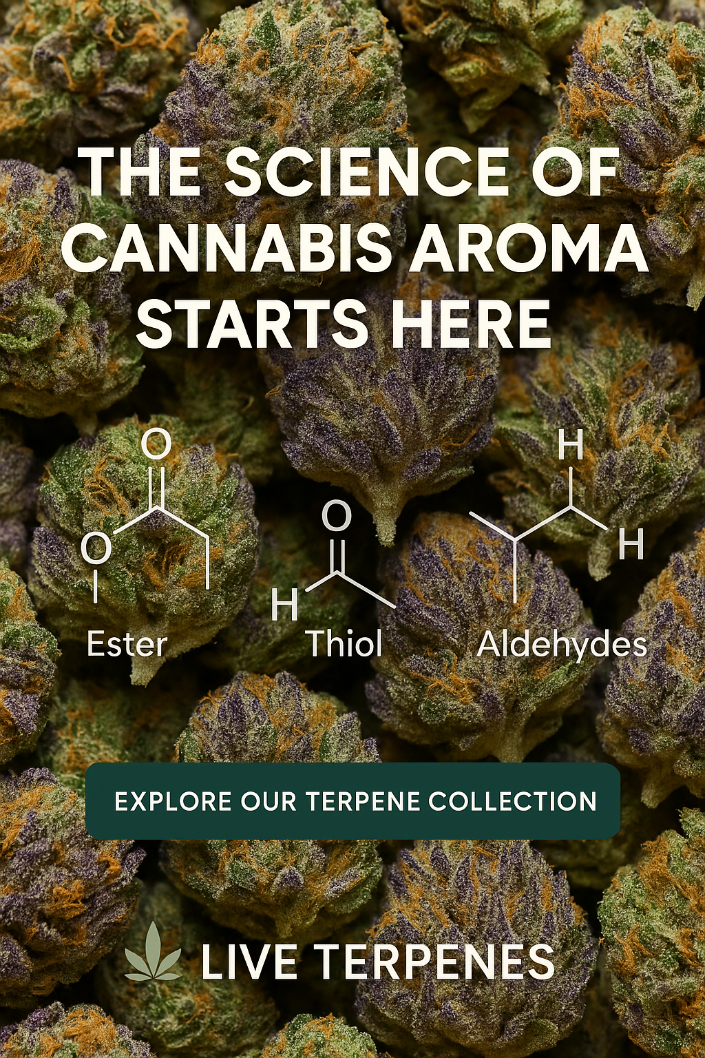 Esters, Thiols and Aldehydes - Beyond Terpenes