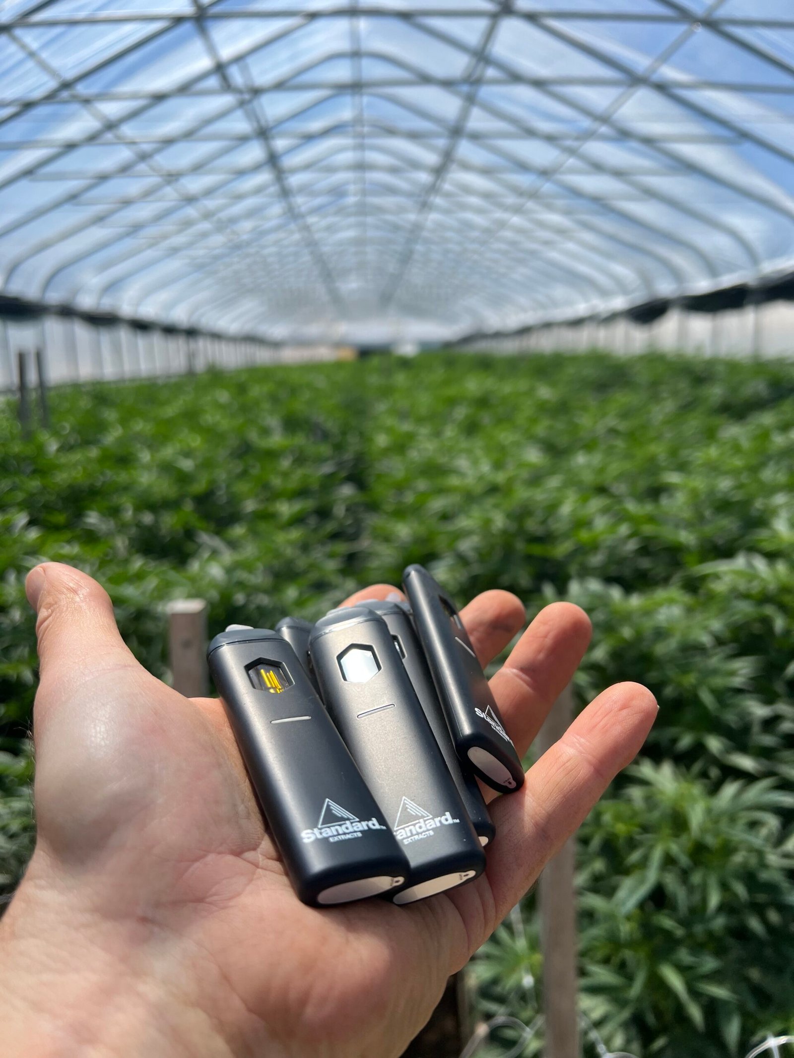 Disposable-Vapes--scaled