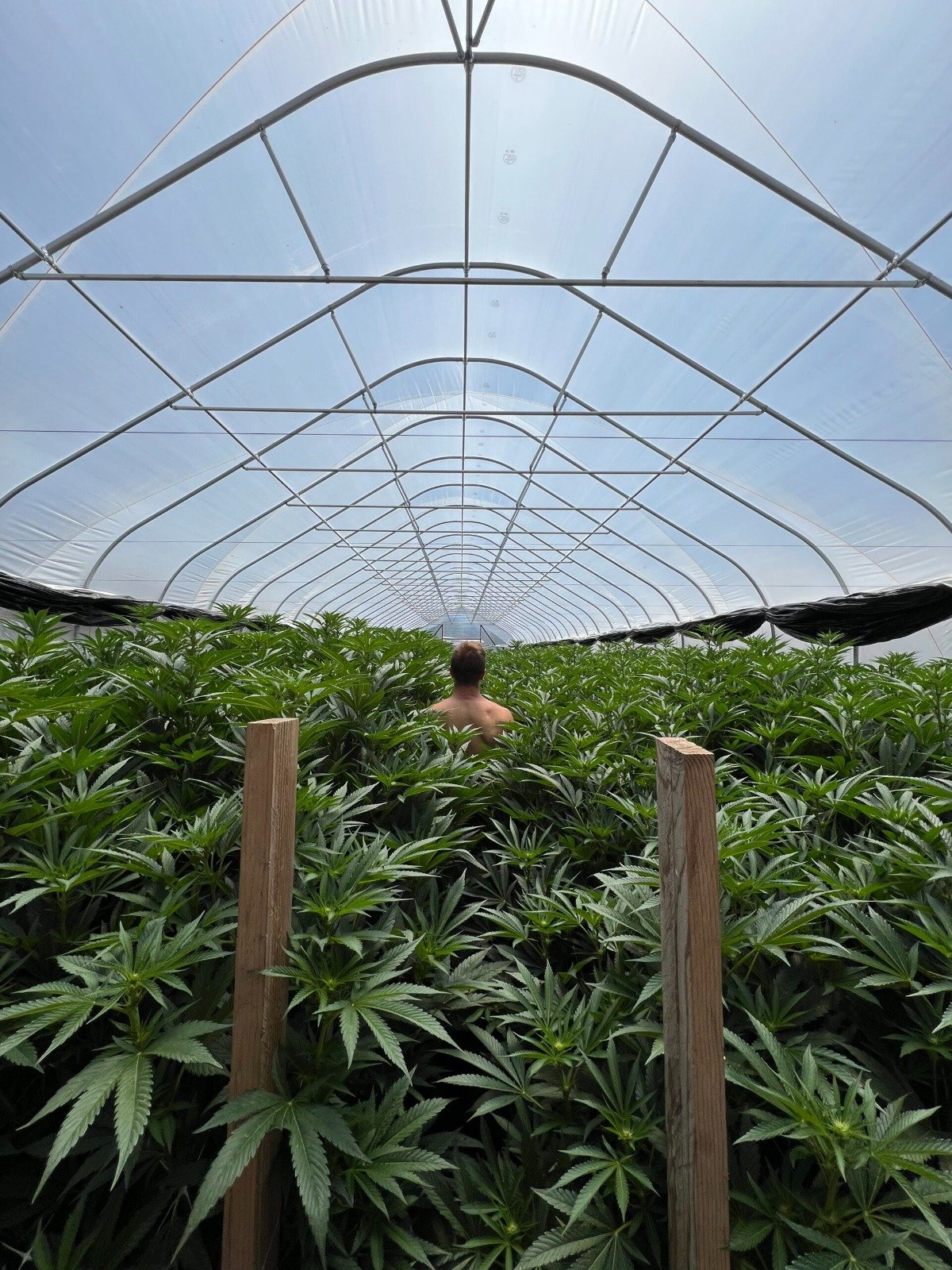 WhatsApp-Image-2025-05-26-at-10.05.23-PM