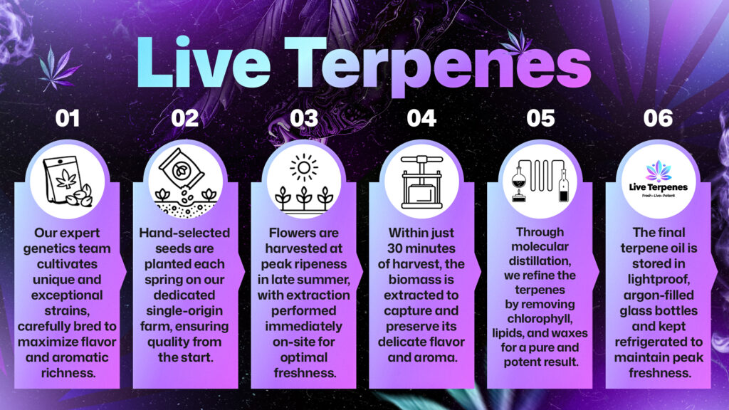 The most potent and flavorful strains of live resins on the U.S. market