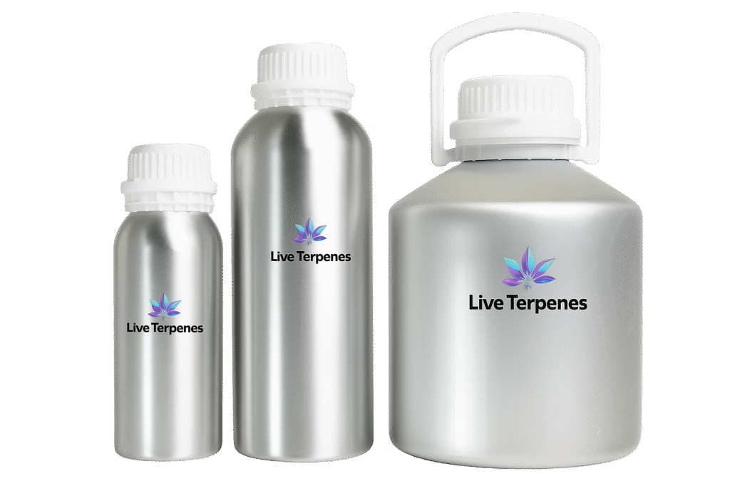 Adobe Express - file