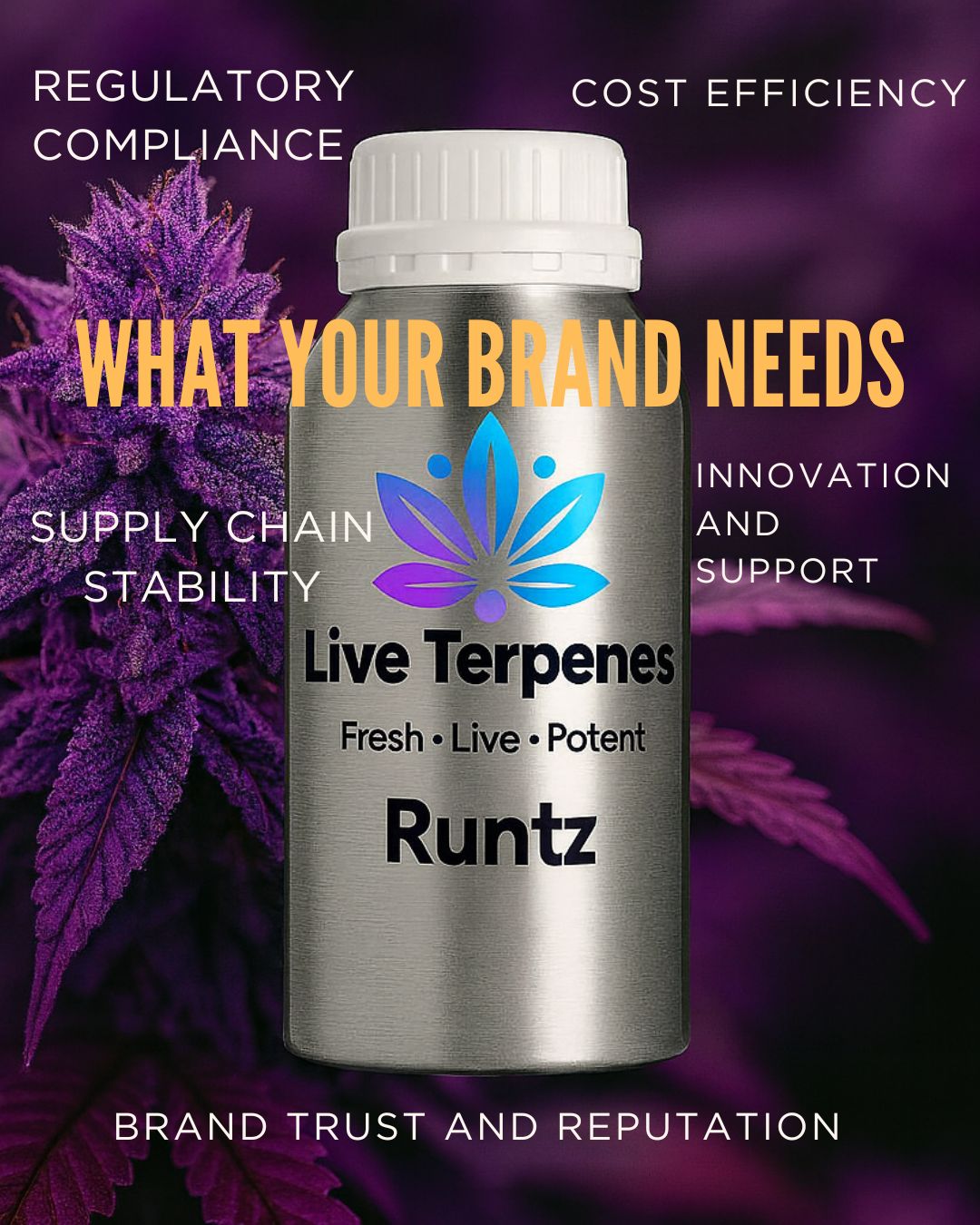 Cannabis-derived terpenes wholesale bottles with surrounding text - Live Terpenes
