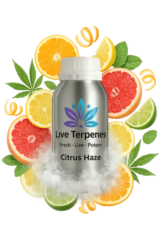 Citrus Haze Terpenes
