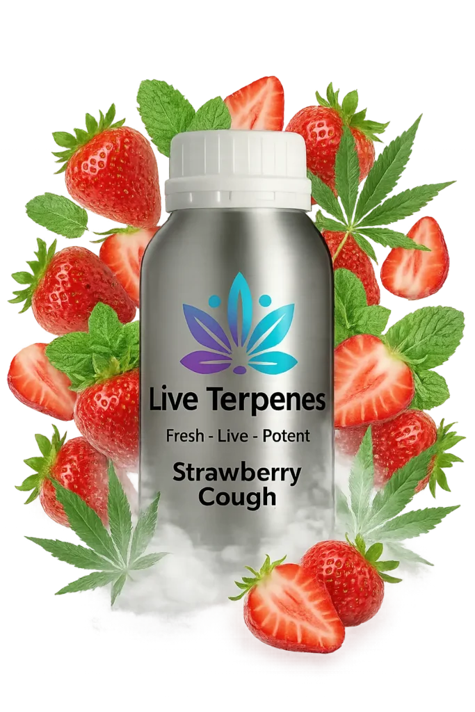Strawberry Cough Terpenes