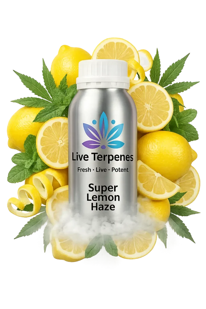 super lemon haze terpenes